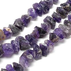 Amethyst Natural Amethyst Beads Strands, Nuggets, 7~15x9.5~13x9.5~13mm, Hole: 1mm, about 43~45pcs/strand, 15.7 inch