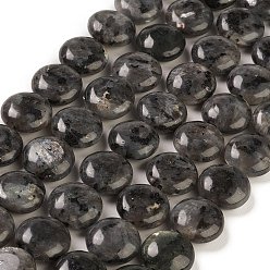 Negro Hebras de cuentas de larvikita natural, plano y redondo, negro, 14.6~15.5x6~6.5 mm, agujero: 0.8 mm, sobre 27 unidades / cadena, 15.59''~15.87'' (39.6~40.3 cm)