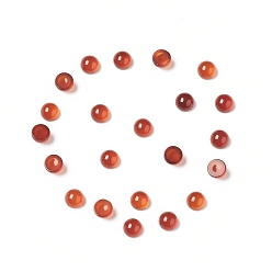 Red Agate Agate cabochons rouges, demi-tour, 3x2mm