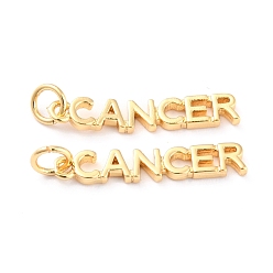 Cancer Brass Pendants, with Jump Rings, Long-Lasting Plated, Constellation/Zodiac Sign, Golden, Cancer, Cancer: 4x22.5x1.5mm, Hole: 3mm