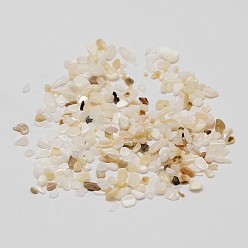 Seashell Color Natural Shell Nuggets Chips Bead, No Hole, Seashell Color, 2~5x1~3x2mm