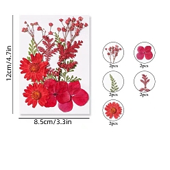 Crimson PET Waterproof Self Adhesive Dried Flower Stickers Sets, DIY Hand Bookmark Decoration Sticker, Flower, Crimson, 120x85mm