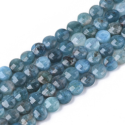 Apatite Natural Apatite Beads Strands, Faceted, Flat Round, 4x2.5mm, Hole: 0.6mm, about 102pcs/strand, 15.35 inch(39cm)