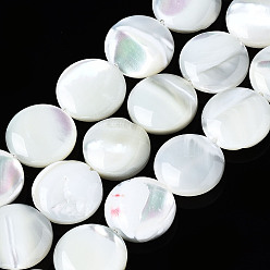 Seashell Color Natural Trochid Shell/Trochus Shell Beads Strands, Flat Round, Bleach, Seashell Color, 10x3mm, Hole: 0.7mm, about 40pcs/strand, 15.75 inch(40cm)