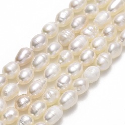 Lin Brins de perles de culture d'eau douce naturelles, riz, linge, 5.5~6.5x4~4.5mm, Trou: 0.5mm, Environ 68~69 pcs/chapelet, 15.35''~15.55" (39~39.5 cm)