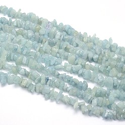 Aquamarine Natural Aquamarine Beads Strands, Chips, 5~8x5~8mm, Hole: 1mm, about 31.5 inch