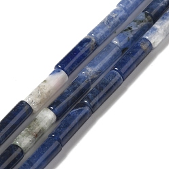 Sodalite Sodalites naturelles brins de perles, Tube, 12x4mm, Trou: 1.2mm, Environ 32 pcs/chapelet, 15.55'' (39.5 cm)