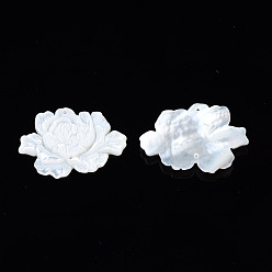 Cáscara Blanca Conectores de enlace de carcasa blanca natural, flor, 22~23x32~33x4 mm, agujero: 0.9 mm