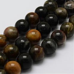 Pétrifié En Bois Pétrifiés bois brins de perles naturelles, ronde, 8mm, Trou: 1mm, Environ 47 pcs/chapelet, 14.9 pouce (38 cm)