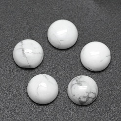 Howlite Cabochons howlite synthétiques, plat rond, 8x3~4mm