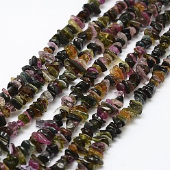 Couleur Mélangete Tourmaline naturelle des perles brins, puce, couleur mixte, 3~5x7~13x2~4mm, Trou: 0.4mm, 16 pouce