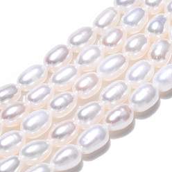 Seashell Color Natural Cultured Freshwater Pearl Beads Strands, Rice, Seashell Color, 5~6x4~4.5mm, Hole: 0.7~0.8mm, about 29~31pcs/strand, 7.09 inch(18cm)