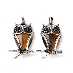 Tiger Eye Natural Tiger Eye Pendants, with Antique Silver Tone Alloy Findings, Cadmium Free & Lead Free, Owl Charm, 50x32x9mm, Hole: 7x5mm