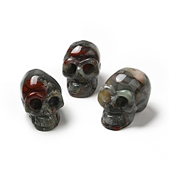 Sanguinaria Decoraciones de exhibición de piedra de sangre africana natural de halloween, decoraciones para el hogar, cráneo, 35~37x30~31x48~50.5 mm