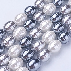 SlateGray Shell Pearl Beads Strands, Oval with Screw Thread, Colorful, 16.5~17.5x13~13.5mm, Hole: 1mm, about 24pcs/strand, 15.74 inch~15.94 inch(40~40.5cm)