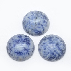 Jaspe Avec Point Bleu Cabochons de jaspe tache bleue naturelle, demi-tour, 24.5~25x4~7mm