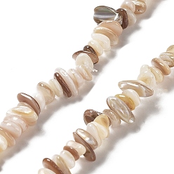Cordón Viejo Cuentas de concha de perla natural hebras, chip, encaje antiguo, 1~8x5~17x5~8 mm, agujero: 0.9~1 mm, 30.31~31.50'' (77~80 cm)