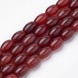 Ágata Roja Teñidos naturales perlas de cornalina hebras, oval, 11~12x7.5~8 mm, agujero: 2 mm, sobre 33 unidades / cadena, 16.3 pulgada