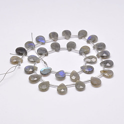Labradorite Natural Labradorite Beads Strands, Top Drilled Beads, Faceted, Teardrop, 14x10x5mm, Hole: 1mm, 28pcs/strand, 15.6 inch(39.5cm)