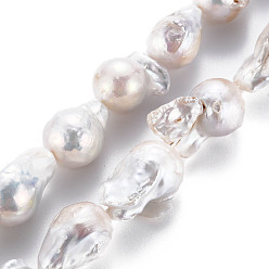 Coquillage De Mer Perle baroque naturelle perles de perles de keshi, perle de culture d'eau douce, nuggets, couleur de coquillage, 14~27x14~17x12~14mm, Trou: 0.6mm, Environ 20~22 pcs/chapelet, 15.75 pouce (40 cm)
