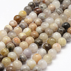 Bamboo Leaf Agate Natural Bamboo Leaf Agate Beads Strands, Round, 8mm, Hole: 1mm, about 47pcs/strand, 15.3 inch