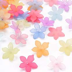 Mixed Color Frosted Acrylic Bead Caps, 5-Petal, Flower, Mixed Color, 20x21.5x4.5mm, Hole: 1.6mm, about 1630pcs/500g