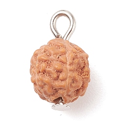 Saddle Brown Undyed Natural Rudraksha Charms, with Iron Finding, Round, Saddle Brown, 12~13x8mm, Hole: 1.5~2mm