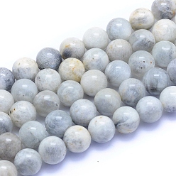 Grey Moonstone Натуральные серые бусины из лунного камня, круглые, 10 мм, отверстие : 0.8 мм, около 39 шт / нитка, 15.35 дюйм (39 см)