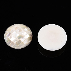 Cáscara Blanca Cuentas de concha natural de blanco, sin agujero / sin perforar, plano y redondo, 35x20.5~21.5 mm