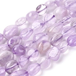 Amethyst Natural Amethyst Beads Strands, Tumbled Stone, Nuggets, 5.5~10.5x5.5~7x2.5~6.5mm, Hole: 0.8mm, about 54pcs/strand, 15.94 inch(40.5cm)