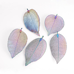 Multi-color Plated Electroplated Natural Leaf Big Pendants, with Iron Findings, Multi-color Plated, 55~85x25~40x1mm, Hole: 3x6mm