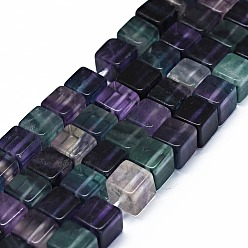 Fluorite Natural Fluorite Beads Strands, Cube, 8x8x8mm, Hole: 0.8mm, about 49pcs/strand, 15.55 inch(39.5cm)