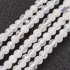 Rainbow Moonstone Natural Rainbow Moonstone Bead Strand, Round, Faceted, 3mm, Hole: 0.8mm, about 127pcs/strand, 15.7 inch(40cm)
