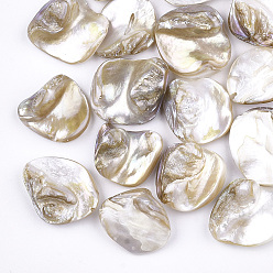 Light Khaki Freshwater Shell Beads, Chip, Light Khaki, 18~22x15~21x7.5~10mm, Hole: 0.8mm
