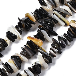 Negro Perlas naturales de concha de labio negro hebras, chip, negro, 1~5x5~18x3~7 mm, agujero: 0.7 mm, sobre 200~220 unidades / cadena, 15.75 pulgada (40 cm)