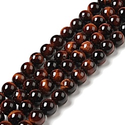FireBrick Natural Gemstone Beads, Round, Tiger Eye, Dyed & Heated, Grade A, Red, about 12mm in diameter, hole: about 1mm, 33pcs/strand