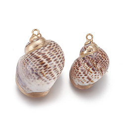Spiral Shell Electroplate Spiral Shell Pendants, with Brass Findings, Conch, Golden, 25~30x18~24mm, Hole: 2mm
