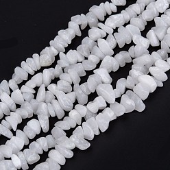 Белый Нефрит Бусины из натурального белого нефрита, чип, 3~16x3~8 мм, отверстие : 0.7 мм, 32.28'' (82 см)