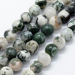 Tree Agate Natural Tree Agate Beads Strands, Round, 8mm, Hole: 1.2mm, about 47pcs/strand, 15.35 inch(39cm)
