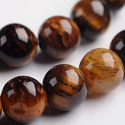 Tiger Eye Round Natural Tiger Eye Gemstone Bead Strands, 10mm, Hole: 1mm, about 38pcs/strand, 14.9 inch