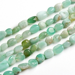 Australia Jade Natural Chrysoprase Beads Strands, Tumbled Stone, Nuggets, 6.5~9.5x5.5~7.5x3.5~5.5mm, Hole: 0.8mm, about 50pcs/Strand, 15.67 inch(39.8cm)