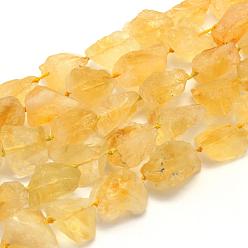 Citrine Rough Raw Natural Citrine Beads Strands, Nuggets, 14~24x10~20mm, Hole: 1mm, 16.5 inch(41.9cm)