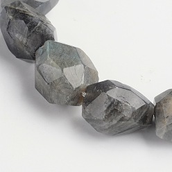 Labradorite Nuggets Natural Labradorite Beads Strands, 15~22x8~17mm, Hole: 1mm, about 18~22pcs/strand, 15 inch