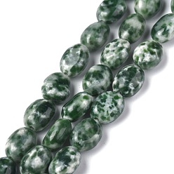 Камень с Зелеными Точками Натуральные зеленые пятна яшмовых нитей, овальные, 8x6x3.5~4 мм, отверстие : 1 мм, около 45~52 шт / нитка, 15.16~15.74 дюйм (38.5~40 см)
