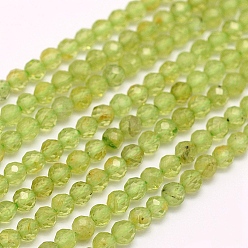 Peridot Natural Peridot Beads Strands, Faceted, Round, 3mm, Hole: 0.5mm, about 132pcs/strand, 15.7 inch(40cm)