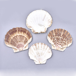 Chameau Perles de coquille Saint-Jacques naturelles, perles de coquille de mer, perles non percées / sans trou, chameau, 83~97x90~107x5~7mm
