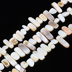 Trochus Shell Natural Trochid Shell/Trochus Shell Beads Strands, Undyed, Rectangle, 6~11x6~36x1~7mm, Hole: 1mm, about 45~55pcs/strand, 14.96 inch~15.35 inch(38cm~39cm)
