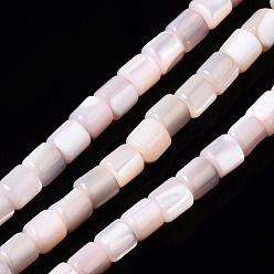Pink Natural Trochid Shell/Trochus Shell Bead Strands, Dyed, Column, Pink, 3.5x3.5mm, Hole: 1mm, about 111~117pcs/strand, 15.35 inch~15.94 inch(39~40.5cm)
