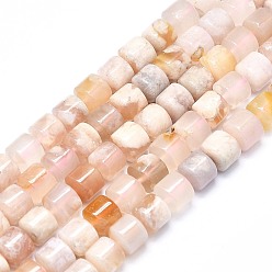 Cherry Blossom Agate Natural Cherry Blossom Agate Beads Strands, Column, 8x8mm, Hole: 1mm, about 48pcs/strand, 15.35 inch(39cm)