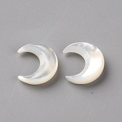Coquillage Blanc Perles naturelles de coquillages blancs, pas de trous / non percés, lune, 10x8x2mm